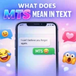MTS abbreviation