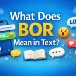What Does BOR Mean in Text