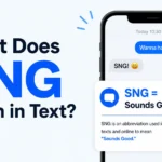 What Does SNG Mean in Text