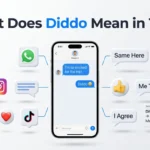 What Does Diddo Mean in Text?