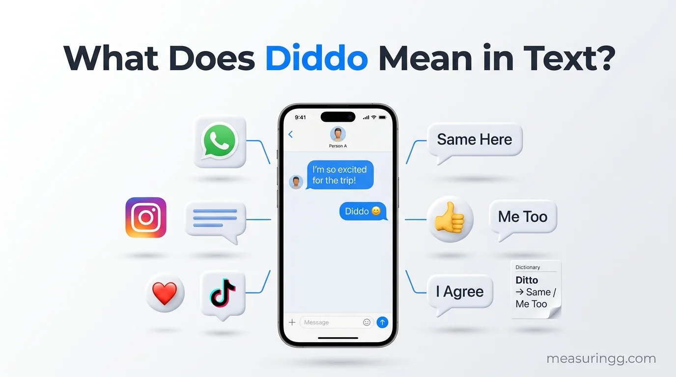 What Does Diddo Mean in Text?