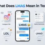 what does lmas mean in text?